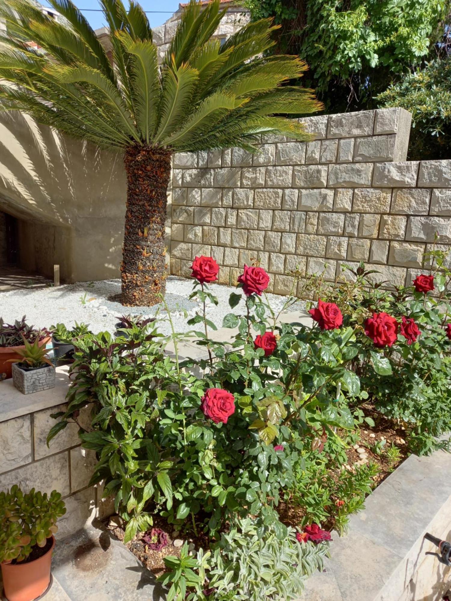 Rooms Radic Dubrovnik Exterior photo